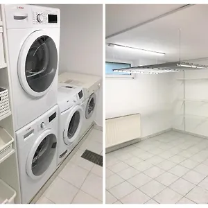  Séjour chez l'habitant Lion